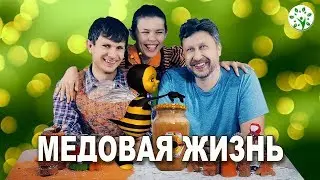 КАК УСТРОИТЬ МЕДОВУЮ ЖИЗНЬ