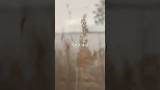 ЦЕНИ ВРЕМЯ 