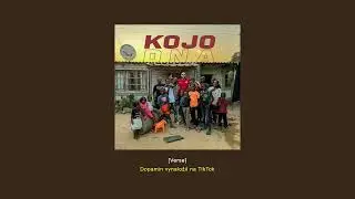 KOJO – DNA (Text)