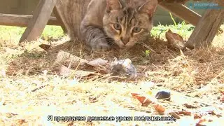 Чему нужно учить детей в первую очередь. Взгляд каббалиста