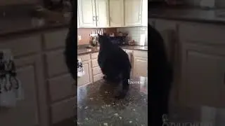 Вырос в стае бабочек