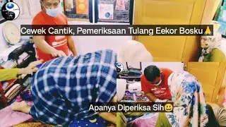 ☯️B.M.A Prt.4 Cewek Cantik Fadila, Pemeriksaan Tulang Lumbal dan Ekor Bosku