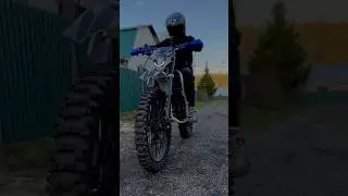 BSE z1 