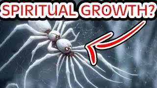 Seeing a White Spider: Spiritual Meaning
