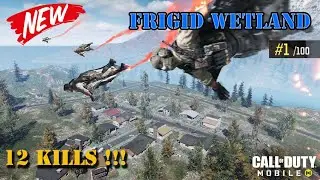 Batle Royal (FRIGID WETLAND) Solo.. 12 Kills!!