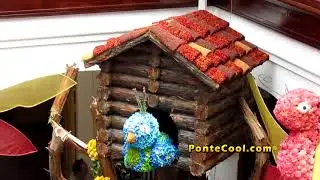 Exposición Floral Casa del Portal FFF 2020. www.pontecool.com
