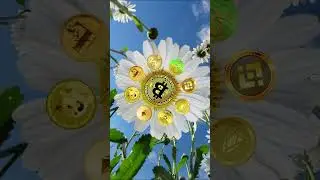 Вся правда криптовалют. Truth about cryptocurrency