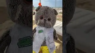 Басики на море