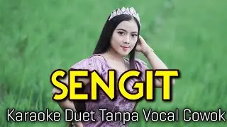 Sengit Karaoke Duet Tanpa Vocal Cowok || Vocal Cover Sasa Meylawaty