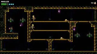 The Messenger (on PS5)
