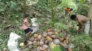 Buhay Bundok
