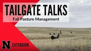 Fall Pasture Management