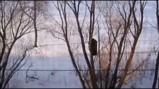 The Ghost Footage 2 - Full Movie (2013)