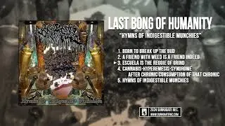 Last Bong of Humanity - Hymns Of Indigestible Munchies [2024]
