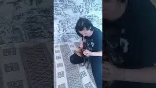 Собака-барабака 😁