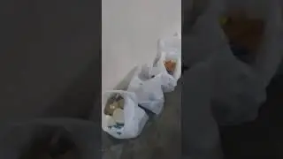 Food and Supplies Supporting Families and Children of Lebanese Tragedy