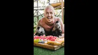 PERFECT MONKEY BREAKFAST 