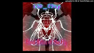 LSD_25xp - The Rites of the Order of the Fly