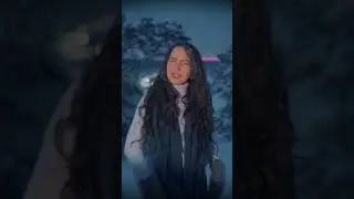 снежные песни в тёмном лесу 