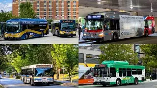 Buses around the DMV Region