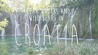 Clear waters and wild bears in Croatia