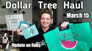 Dollar Tree Haul | Opening & Trying Items | Update On Ruby | March 15