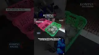 Bingka Kukus Kelapa Muda Khas Desa Pengaron