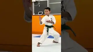 Enpi⭐️#karate #kata #空手 #cool