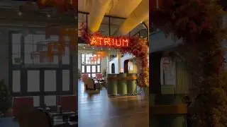 Atrium 🦩🦩🦩| PERFECT GIRLS LUNCH SPOT #atrium #poncecitymarket