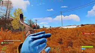 PvP Highlight #5