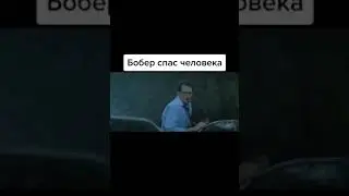 Смешные видео приколы , бобер спас человека