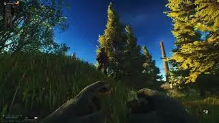 That's one way to meet Birdeye