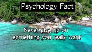 Psychology Facts
