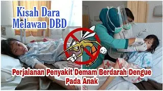 DEMAM BERDARAH DI MASA PANDEMI || Penyakit Demam Berdarah Dengue Pada Anak || Kisah Dara Melawan DBD