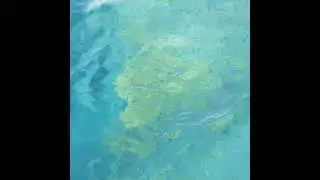июнь 2024 или когда ты добрался до моря