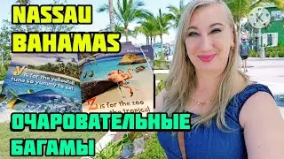 ТУРИСТИЧЕСКАЯ УЛИЦА В NASSAU BAHAMAS❤️БИРЮЗОВАЯ НАБЕРЕЖНАЯ БАГАМСКОГО ОСТРОВА (часть 5)