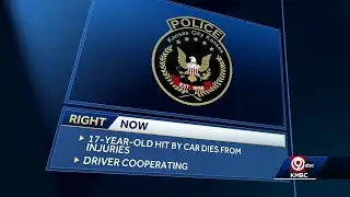 17-year dies after being hit by car near Children's Mercy Park in KCK