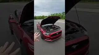 2 Reasons to Buy a Mustang Ecoboost