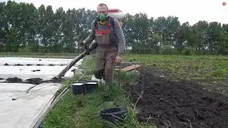 БЕНЗООПРЫСКОВАТЕЛЬ СНОВА В ДЕЛЕ,БОРЬБА С ВРЕДИТЕЛЯМИ НА КАПУСТЕ !!!