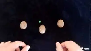 The Infamous Three Shell (Gambling) Game [FULL]. Shot with Pivotheads from the Operator's POV