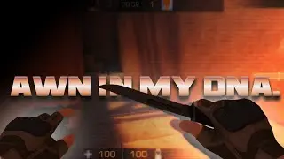 AWM ALLIES 🕊️ || STANDOFF 2 HIGHLIGHT