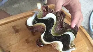 Okinawan Street Food: Prepping and cooking giant clams