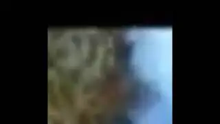Все анимации логотипа Муз ТВ (почти)