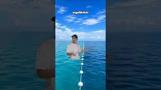 Wenn man zu weit hinaus in das Meer schwimmt 🌊🤣