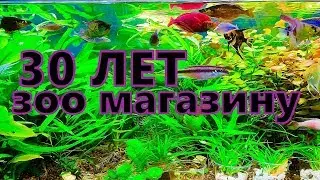 Зоомагазин в Литве. Огромный выбор. Профи советы и помощь в аквариумах.