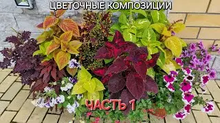 ЦВЕТОЧНЫЕ КОМПОЗИЦИИ.                                         РЕКОМЕНДУЮ!!!