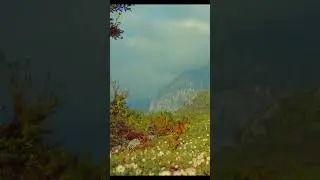 Trojet Dardane - Malesi e madhe -  Shqiperi