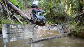 THE CELLS 4X4 IN A XL JIMNY