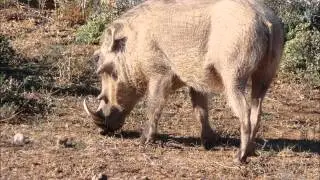 Een fotoreis door Zuid Afrika
