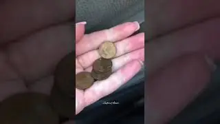 ВСЯ ЖИЗНЬ - АСМР, а ты в ней - раздражитель